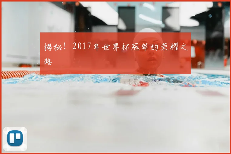 揭秘!2017年世界杯冠军的荣耀之路
