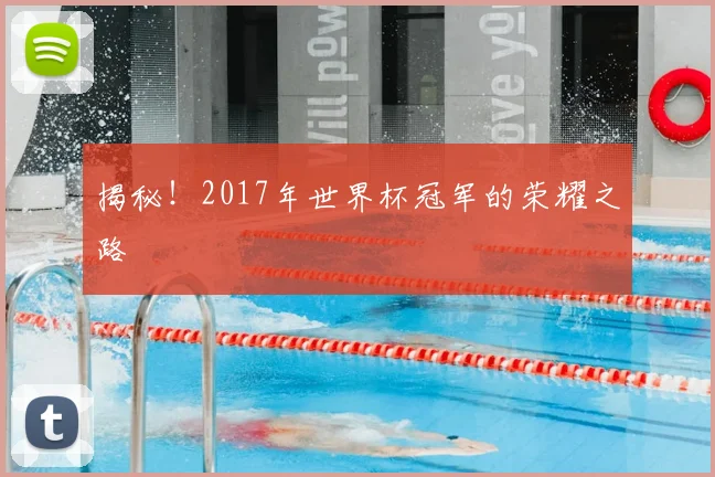 揭秘!2017年世界杯冠军的荣耀之路