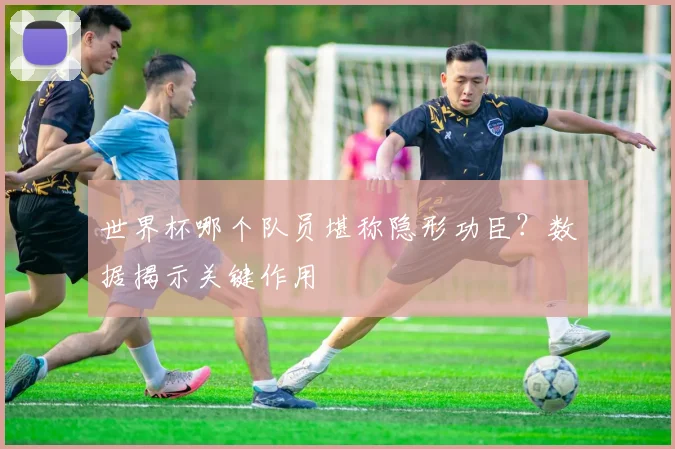世界杯哪个队员堪称隐形功臣?数据揭示关键作用